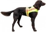 Hond Veiligheids Vest Large-0