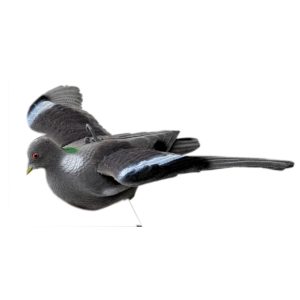 Lokvogel vliegende/invallende duif geflocked vaste vleugels-0