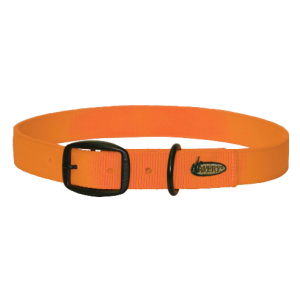 Halsband Oranje Medium-0